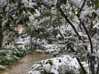 A rare sight: snow in Greece! 