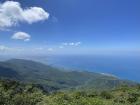 At the top of a mountain I climbed with Lexi