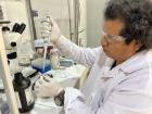 Beginning to analyze the fish samples for microplastics