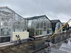 Outside of the greenhouses where I first started my research in Florida