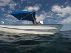 One of our local captains, Enrique, is the best at finding manta rays