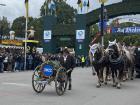 Cute headpieces on horses