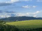 The view on the drive to Assis, Sao Paulo; it looks like Texas!