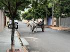 Sometimes you see a horse in the middle of the road in rural Brazil :)