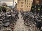 an army of bikes parked outside of a university library