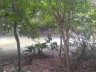 The Atlantic Forest runs along the eastern coast of Brazil