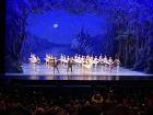 A wonderful performance