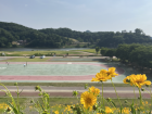 Here is the park near my house that I run around to see the beautiful Geum river