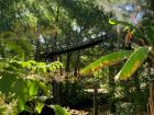 A nature spot in Tigre, Buenos Aires