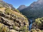 One of the most beautiful views from the hike (in my opinion), filled with lots of trees, including Aleppo pines