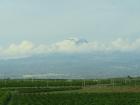 Etna towers over lush farmland at sea level 