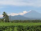 Mount Merapi, a towering active volcano on the island of Java in Indonesia