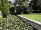Here is a picture from one of Madrid's rose gardens in Retiro Park