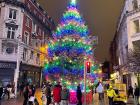 A beautiful Christmas tree in northern Dublin! 