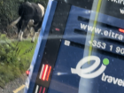 This one stopped our bus