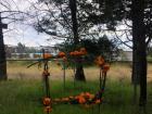 In the little forest near my house, this cute frame is decorated according to the season 