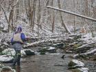 A winter fly fishing trip to Shenandoah National Park