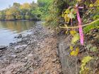 While at work... wetland delineation flagging hung along the shore of a tidal wetland in northern Virginia