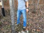 An old picture I took of Dakota when he helped me pick up trash in the protected, College Woods of Williamsburg, Virginia