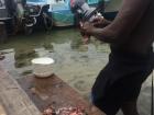 In Belize, I learned that local fisherman are vital to removing the invasive lionfish from the Caribbean marine ecosystem