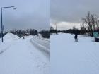 Skiing with a dog is just like rollerblading with a dog, right?