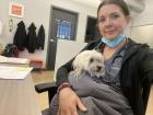 Not only dogs look to Justine as a pack leader... colleagues do, too!