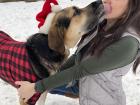 In vet school, Justine was on the board of the Veterinary Business Management Association (VBMA) where she learned how to negotiate her salary for a better life for her dog