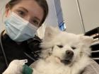 You're seeing many cute pictures, but being a vet requires performing not-so-pleasant tasks, too