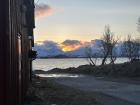 Alex and I saw the cheeky otter disappear under the water at the south of Tromsø island 
