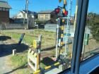 Here is the view from the train as we cross a small road