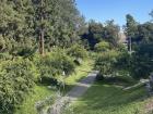 Aldrich Park back home at U.C.I.
