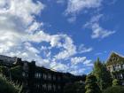 Yonsei Campus