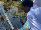 My classmate observing a pond for a science experiment 