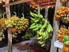 Tons of tropical fruit at a roadside stop!