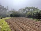 Look how rich this soil is for growing crops!