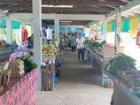 Navua market, where I did a lot of shopping
