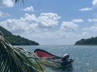 Another view from under the coconut tree