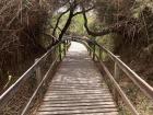 A bridge in the Azraq Wetland Reserve