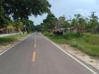 This is one of the most trafficked road in town, by cars, bikes, humans, dogs and buffalos 