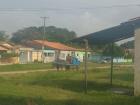 Water buffalo pulling a trash "truck" on a typical neighborhood street