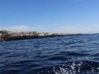 The ocean is so beautiful and clean!