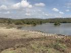 Beautiful views from the Nairobi National Park