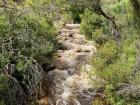 A hidden stream on a hike in Cape Town