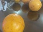 Tropical fruits are often served as desserts in Costa Rica--can you guess what fruit this is?
