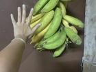 "Platanos", like many other fruits, are a common dessert in Costa Rica--see how these ones are bigger than my hand!