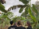 Looking around at the Chocolate farm!