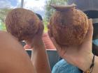 Had some refreshing coconut water to cool down