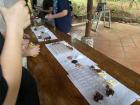 Making chocolate from scratch!