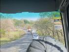 Traffic is very common in Costa Rica