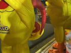 A closer look at the lines of chickens!